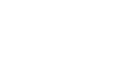 camelot logo